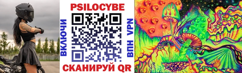 Купить где  Черногорск  Галлюциногенные грибы Cubensis 